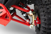 Avenger Snowy Tire XL Sport 6" 1000W 48V