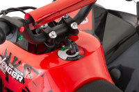 Avenger Snowy Tire XL Sport 6" 1000W 48V