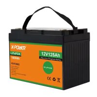 LFP 12 Volt 125AH 1600WH