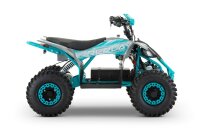 Replay Sport 1200W 48V 6" Snowy Tire XL