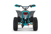 Replay Sport 1200W 48V 6" Snowy Tire XL
