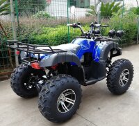 4WD E-Quad 2x2KW ALLRAD (2x2,72PS)