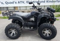 4WD E-Quad 2x2KW ALLRAD (2x2,72PS)