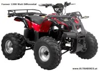 Farmer 1200 Watt 60V mit Differential