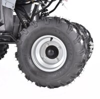 Farmer 1200 Watt 60V mit Differential