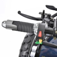 Farmer 1200 Watt 60V mit Differential