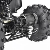 Farmer 1200 Watt 60V mit Differential