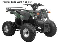 Farmer 1200 Watt 60V mit Differential