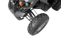 Farmer 1200 Watt 60V mit Differential