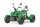 SPY Racing E9 E-Quad 8kW Lithium 2 Pers. Zulassung EURO5+