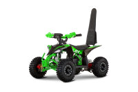 Replay MiniQuad 1350W 48V 6 Zoll XL Differential
