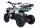 Torino 1000 Watt 36 Volt 6 Zoll Elektro-Miniquad Blau