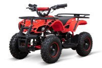 Quad Torino Sport 6Zoll, 1000Watt 48Volt Eco Quad