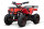 Quad Torino Sport 6Zoll, 1000Watt 48Volt Eco Quad