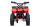 Quad Torino Sport 6Zoll, 1000Watt 48Volt Eco Quad