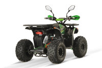 Dustrider Sport 8" 1250W 60V