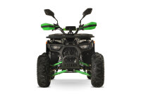 Dustrider Sport 8" 1250W 60V